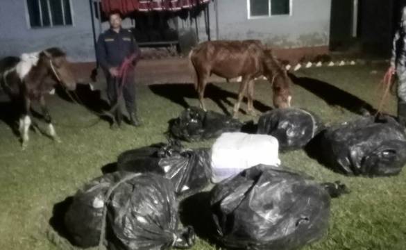 तस्करमाथि हवाई फायर गरेर १८४ किलो गाँजा बरामद
